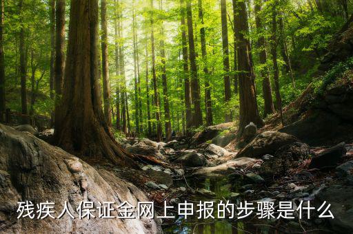 殘疾人保證金網上申報的步驟是什么