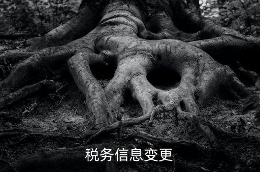 地稅如何變更人員信息查詢，浙江地稅開票軟件開票人怎么更改