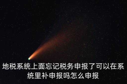 地稅如何補充申報表，地稅系統(tǒng)上面忘記稅務(wù)申報了可以在系統(tǒng)里補申報嗎怎么申報