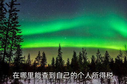 稅務(wù)如何查個稅，個稅怎么查