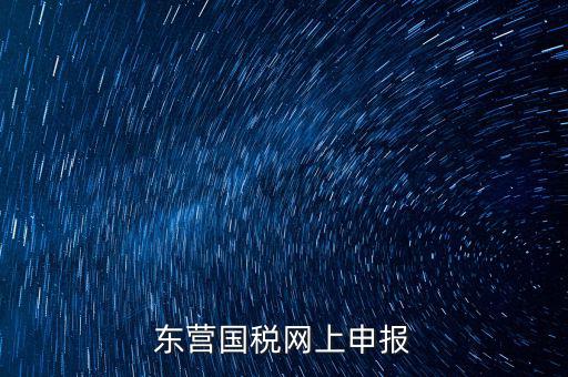 東營(yíng)國(guó)稅如何網(wǎng)上申報(bào)，東營(yíng)國(guó)稅網(wǎng)上申報(bào)
