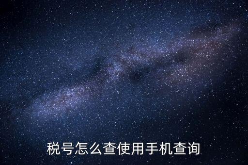 稅號(hào)怎么查使用手機(jī)查詢(xún)