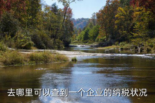 如何查詢企業(yè)納稅，去哪里可以查到一個企業(yè)的納稅狀況