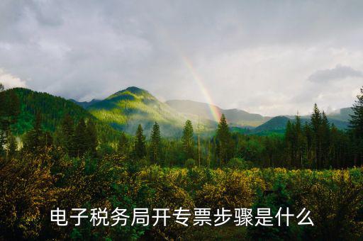 山西省稅務(wù)局網(wǎng)上如何開專票，如何開增值稅專用發(fā)票