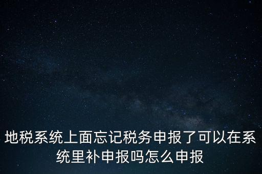 地稅系統(tǒng)上面忘記稅務申報了可以在系統(tǒng)里補申報嗎怎么申報