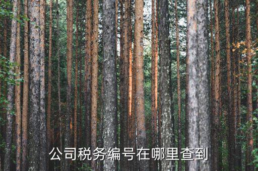如何查遼寧省國(guó)稅局納稅識(shí)別號(hào)，跪求 在哪點(diǎn)能查詢到納稅人識(shí)別號(hào)