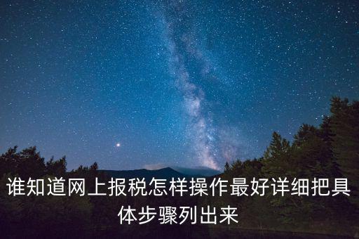 如何進(jìn)行網(wǎng)上納稅申報，如何進(jìn)行網(wǎng)上申報稅款
