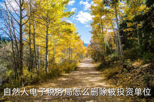 電子稅務(wù)局如何刪除不管的企業(yè)，電子稅務(wù)局網(wǎng)頁怎么清除企業(yè)稅號記錄