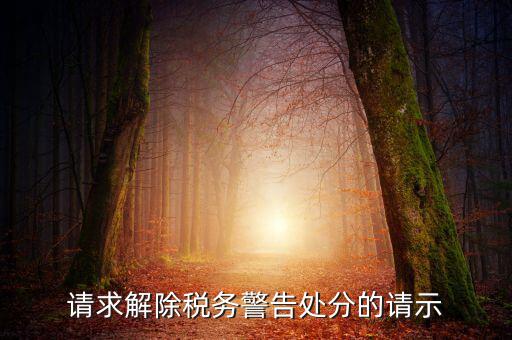 四川省稅務(wù)處罰信息如何消除，請求解除稅務(wù)警告處分的請示