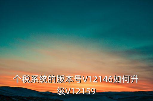 個人所得稅系統(tǒng)如何在線升級，個稅系統(tǒng)的版本號V12146如何升級V12159