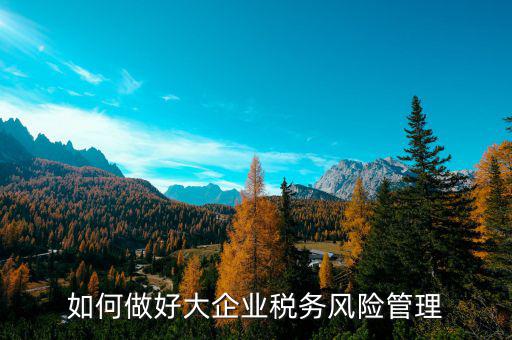 如何加強(qiáng)對重點(diǎn)企業(yè)的稅務(wù)管理，加強(qiáng)大企業(yè)的稅收管理有何良策