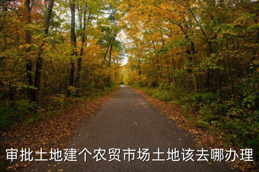 農(nóng)貿(mào)市場土地如何取得，審批土地建個農(nóng)貿(mào)市場土地該去哪辦理