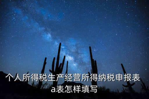 個(gè)人經(jīng)營(yíng)所得申報(bào)表a表如何填，個(gè)人所得稅經(jīng)營(yíng)所得稅申報(bào)表a表怎么填