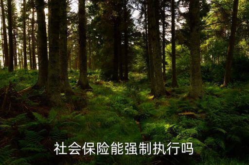 社會保險費如何執(zhí)行，社會保險能強制執(zhí)行嗎