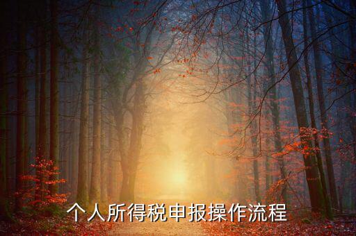 自然人所得稅如何安裝，個(gè)人所得稅如何進(jìn)行申報(bào)和核算