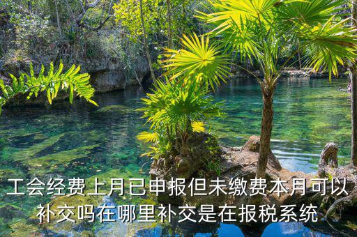 工會經費上月已申報但未繳費本月可以補交嗎在哪里補交是在報稅系統(tǒng)