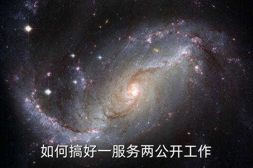 如何推進一案雙查工作，如何搞好一服務兩公開工作