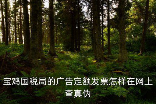 國稅定額發(fā)票如何查驗(yàn)，國稅的定額發(fā)票怎么辨別真假制作的跟假的似的