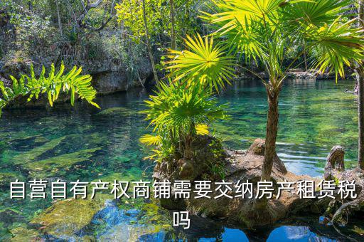 自有商鋪如何繳租賃稅，自有商鋪 是否交出租稅