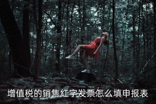 紅字開票金額如何填寫增值稅申報表，紅字發(fā)票如何填寫增值稅報表二