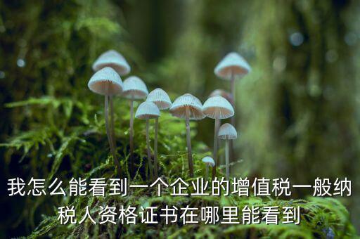 增值稅一般納稅人資格如何查詢，重慶國稅網(wǎng)如何查詢企業(yè)是否一般納稅人