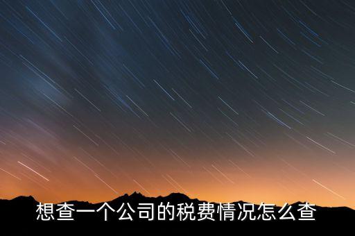 想查一個公司的稅費(fèi)情況怎么查
