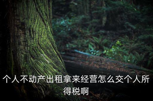 個人出租不動產(chǎn)如何納稅，個人房產(chǎn)出租應(yīng)如何納稅 住宅可按5稅率征收
