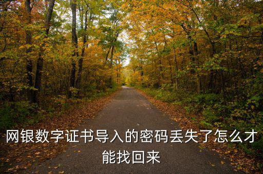 數(shù)字證書(shū)密碼錯(cuò)誤如何找回，營(yíng)業(yè)執(zhí)照數(shù)字證書(shū)密碼忘記了 怎么辦