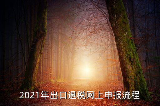 如何登錄出口退稅網，出口退稅申報流程操作