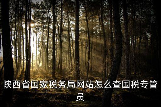 陜西省國家稅務局網(wǎng)站怎么查國稅專管員