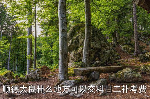如何取消順德稅務平臺上的預約，如何取消順德人民醫(yī)院網上掛號