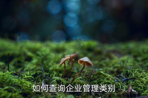 如何查詢(xún)企業(yè)管理類(lèi)別