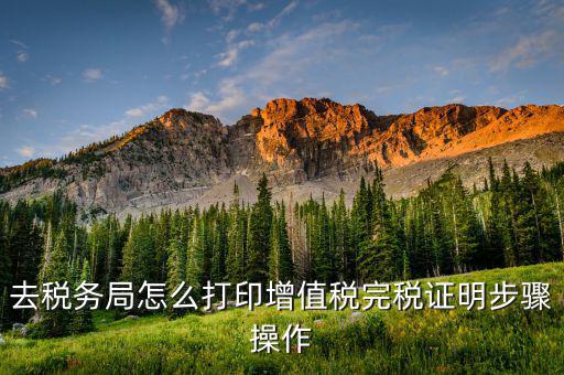 如何打印北京納稅證明，去稅務(wù)局怎么打印增值稅完稅證明步驟操作