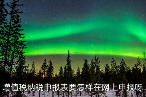 增值稅網(wǎng)上如何申報系統(tǒng)，增值稅納稅申報表要怎樣在網(wǎng)上申報呀
