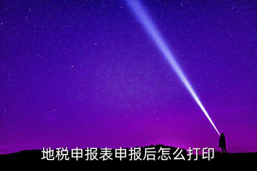 地稅如何打印申報(bào)表，地稅納稅申報(bào)表怎么打印