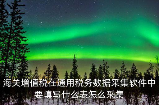 海關增值稅在通用稅務數(shù)據(jù)采集軟件中要填寫什么表怎么采集