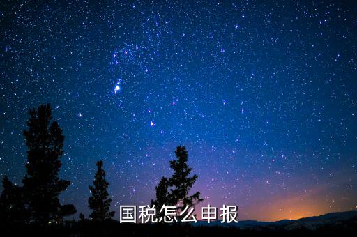 北京國(guó)稅如何登陸申報(bào)，國(guó)稅如何網(wǎng)上零申報(bào) 具體步驟有五個(gè)