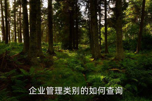 企業(yè)管理類(lèi)別的如何查詢(xún)