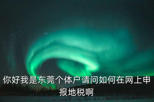 東莞個稅如何申報，你好我是東莞個體戶請問如何在網(wǎng)上申報地稅啊