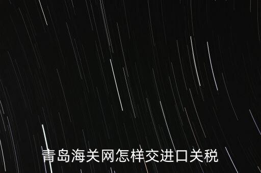 青島海關網怎樣交進口關稅