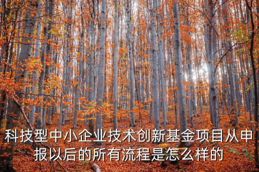科技型優(yōu)惠如何備案，研發(fā)費(fèi)用加計(jì)扣除優(yōu)惠備案的要點(diǎn)有哪些