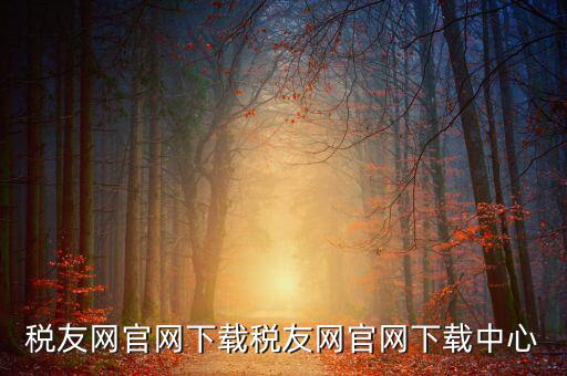 稅友如何下載，個(gè)稅在稅友網(wǎng)上下載下來(lái)了然后怎么安裝