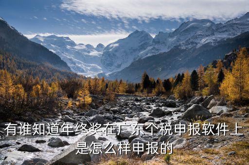 全年一次年終獎(jiǎng)軟件如何申報(bào)，有誰知道年終獎(jiǎng)在廣東個(gè)稅申報(bào)軟件上是怎么樣申報(bào)的