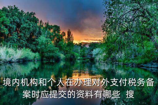 如何填列對外支付稅務(wù)備案表，境內(nèi)機構(gòu)和個人在辦理對外支付稅務(wù)備案時應(yīng)提交的資料有哪些  搜