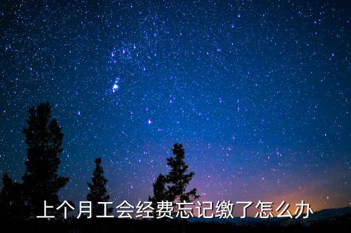 如何補(bǔ)繳上月工會經(jīng)費(fèi)地稅，工會經(jīng)費(fèi)上月已申報但未繳費(fèi)本月可以補(bǔ)交嗎在哪里補(bǔ)交是在報稅系統(tǒng)