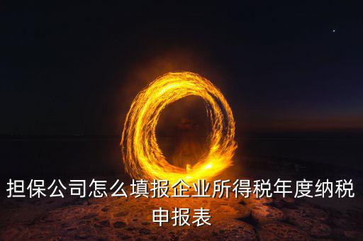 保險公司如何納稅申報，保險代理公司怎么向地稅申請代開發(fā)票