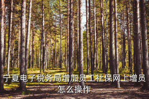 寧夏電子稅務(wù)系統(tǒng)如何開通，開通電子稅務(wù)局需要帶些什么東西去稅務(wù)局才能開通