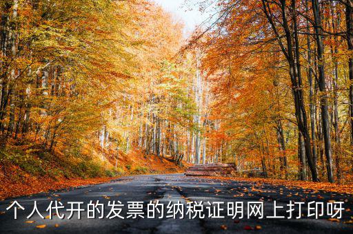 個人代開的發(fā)票的納稅證明網(wǎng)上打印呀