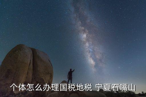 寧夏個(gè)稅如何申報(bào)，個(gè)體怎么辦理國稅地稅 寧夏石嘴山