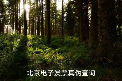 如何查北京的發(fā)票真?zhèn)尾樵?，北京電子發(fā)票真?zhèn)尾樵?/></a></span><span id=